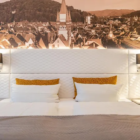 Hotel Boutiquehotel Am Stadtgarten Freiburg im Breisgau