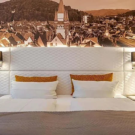 Boutiquehotel Am Stadtgarten פרייבורג