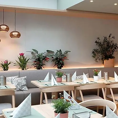Boutiquehotel Am Stadtgarten 4* פרייבורג
