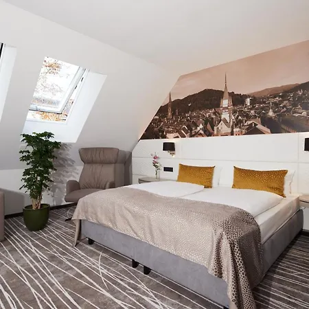 Boutiquehotel Am Stadtgarten מלון 4*